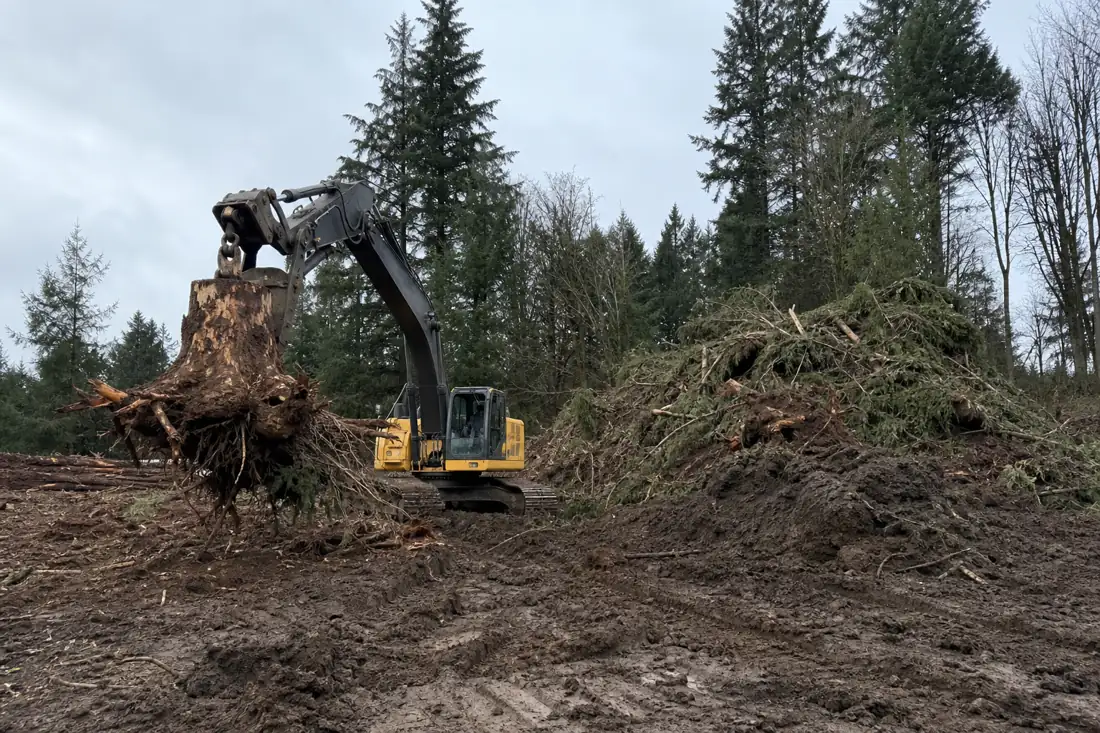 Excavator clearing trees and stumps on a wooded lot in Hillsboro, OR